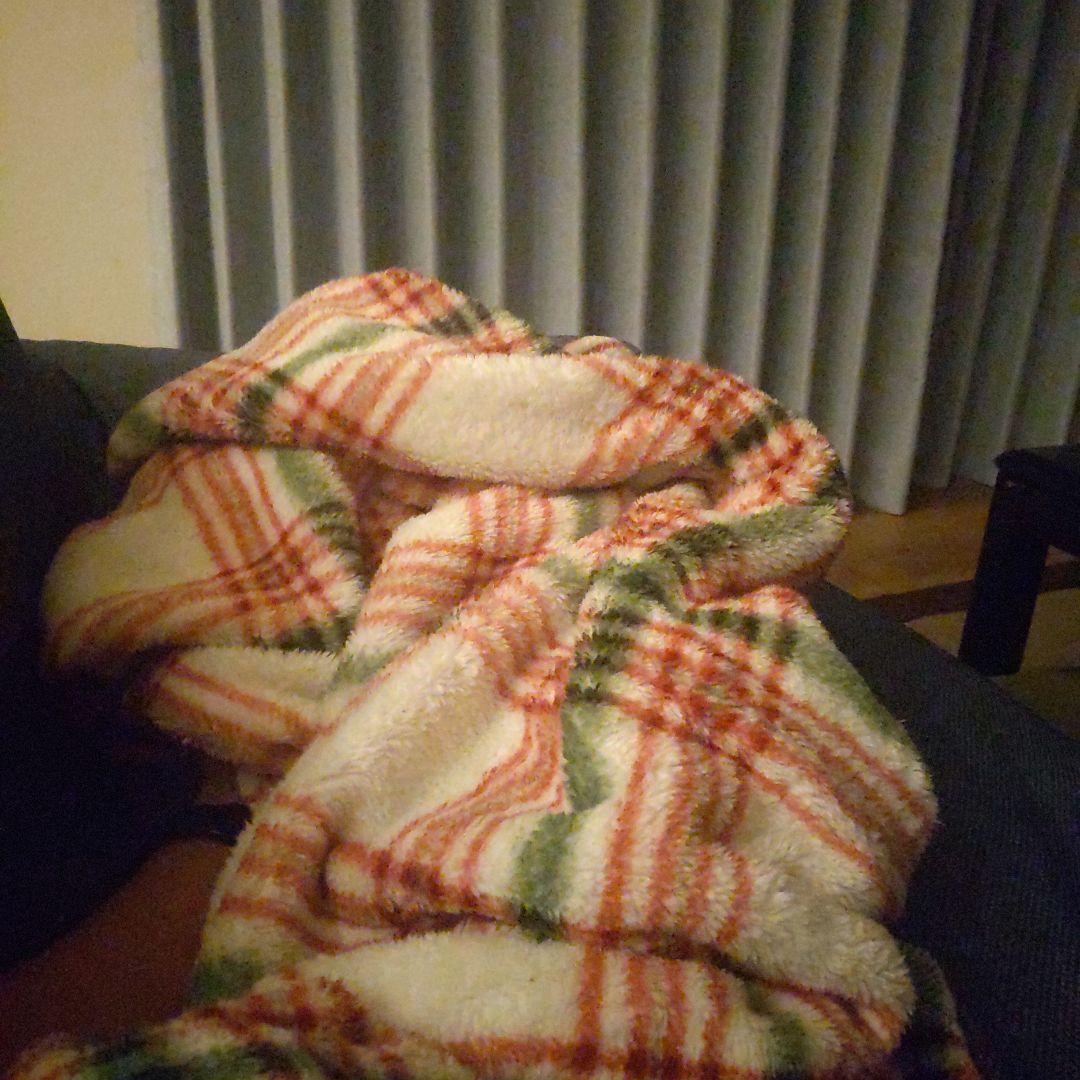 フリース毛布 赤と緑のチェック柄