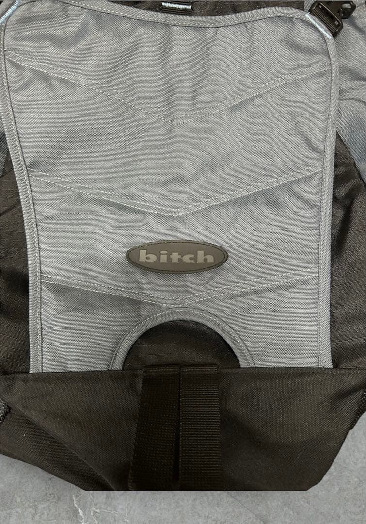 「希少」90s bitch skateboards リュック ヴィンテージ