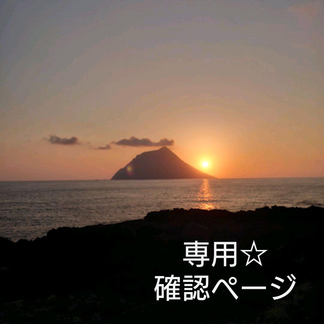 専用☆確認ページ