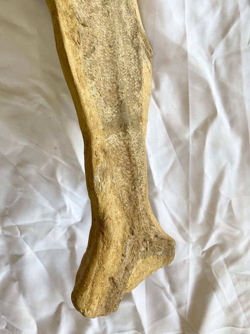 ブラジル産　魚の化石　重さ6.1kg 長さ64.2cm 幅17.5cm ③