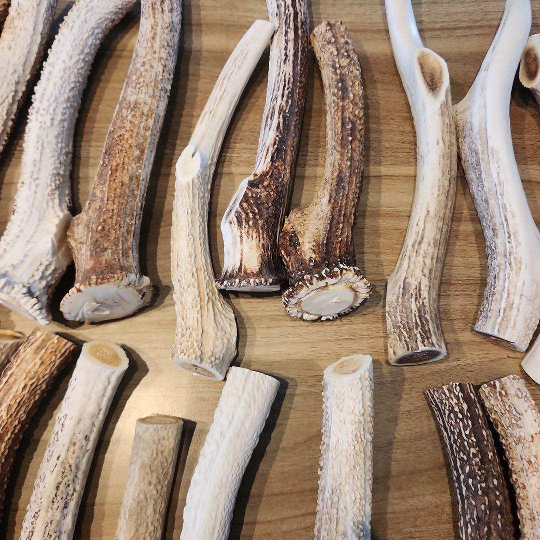 ぶち　鹿の角 (特大～大サイズ)犬用おもちゃ ランダム　2kg　8本