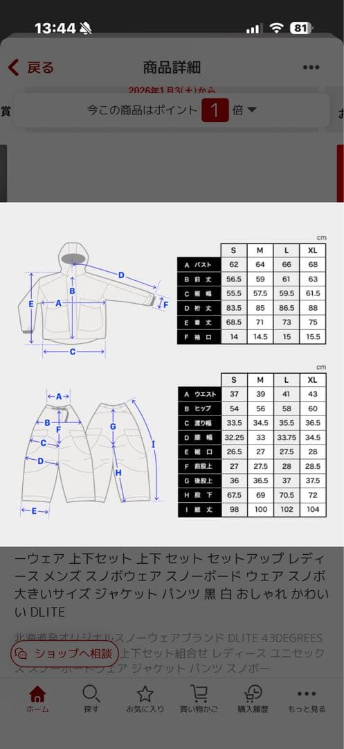 スノーボードウェア 上下セット レディース メンズ スノボウェア DLITE