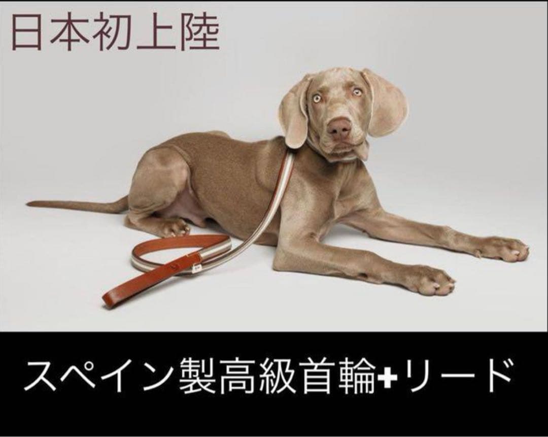 スペイン製 高級犬用リードと首輪セットBaseballGrey (小型・中型犬)