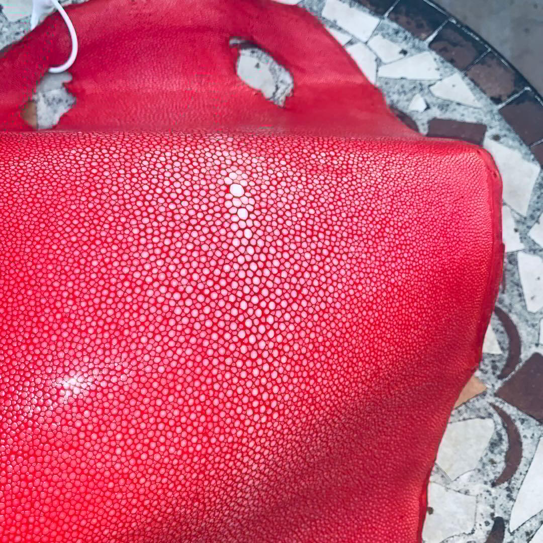 20) エイ革 鮫革 鮫皮 stingray ガルーシャ スティングレイ