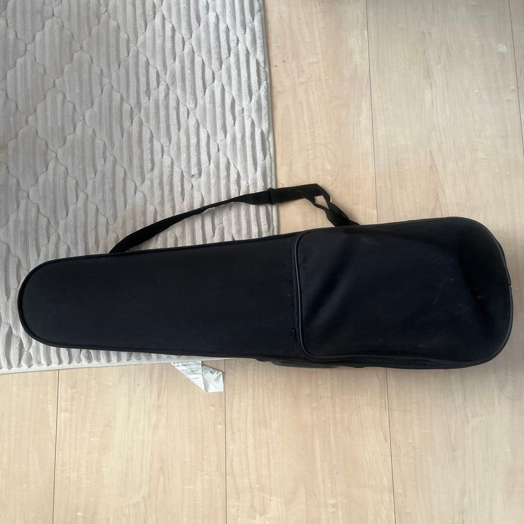 電子バイオリン