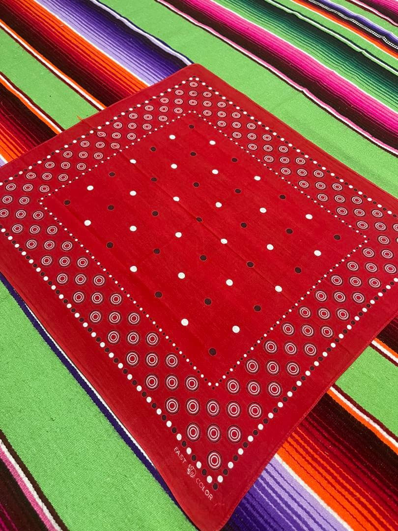 【REN 】②③③40s USA製 バンダナ ELEPHANT ゾウ 下鼻