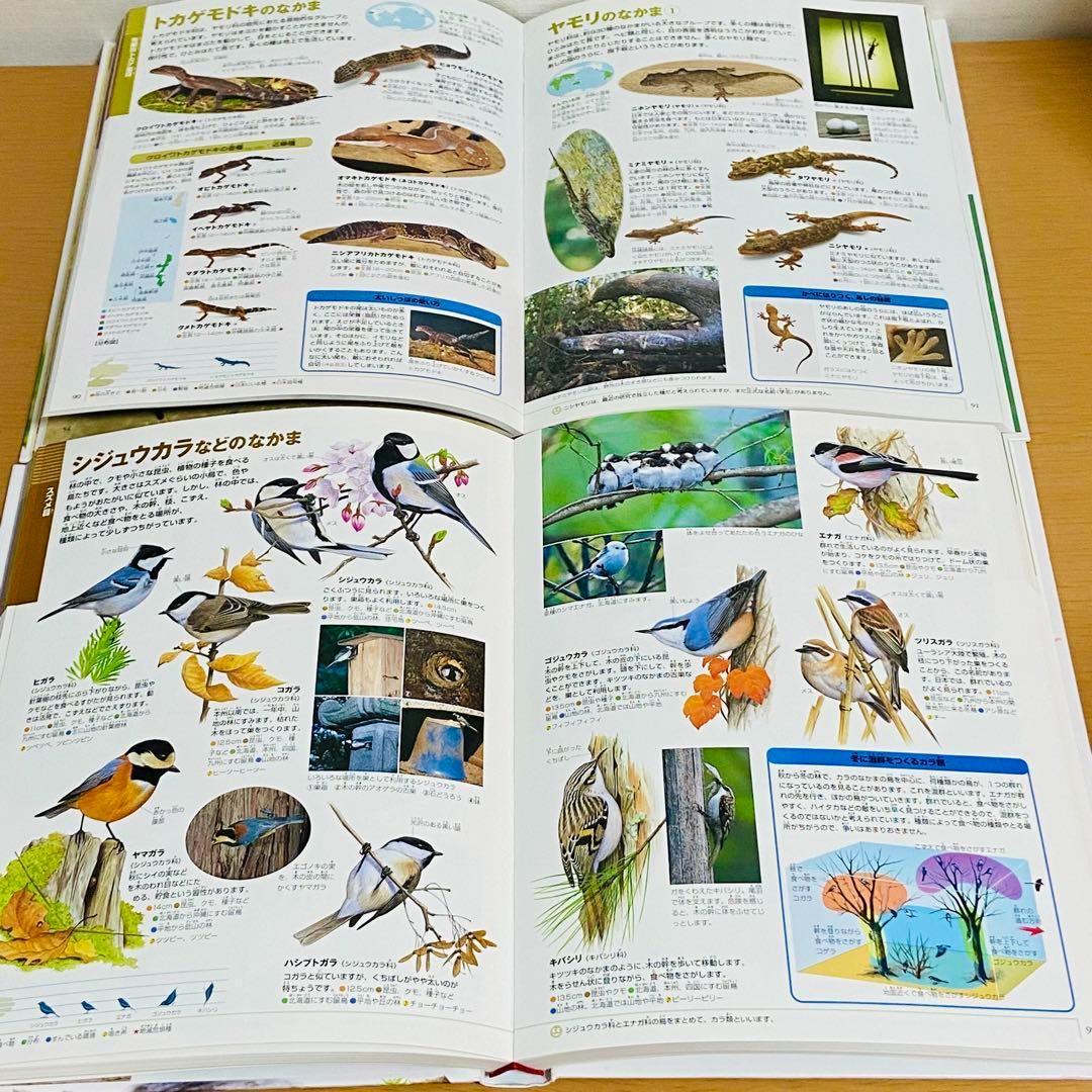 Q78カツママ　【15冊】小学館の図鑑NEO　動物　地球　科学