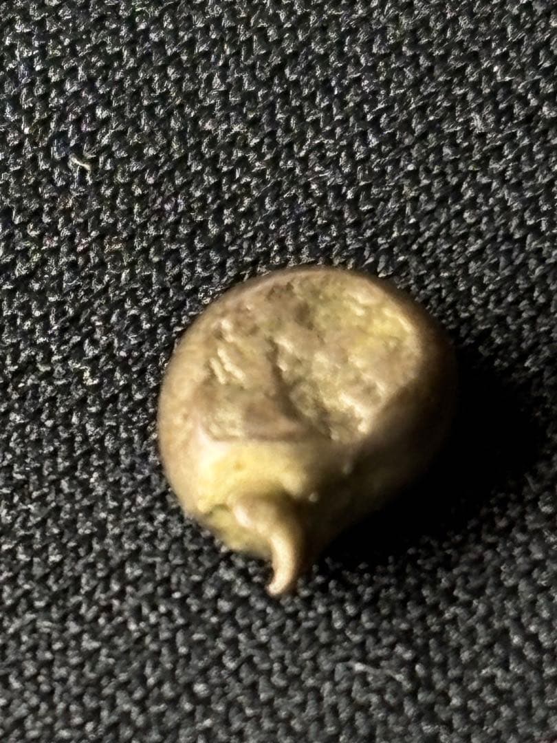 元文豆板銀 露銀 3セット