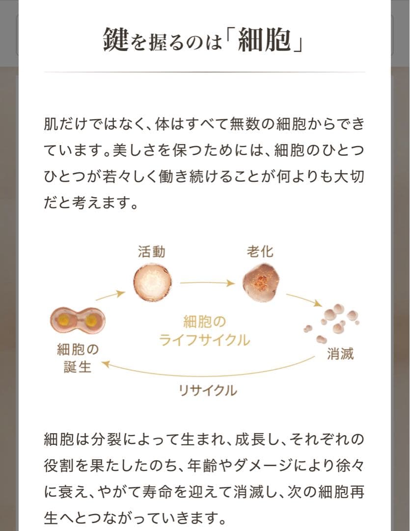 売約済み専用【新品未開封】ロンジェビティ アイクリーム& クリーム 2つセット