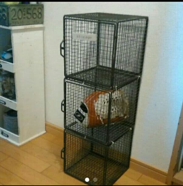 ワイヤーラック