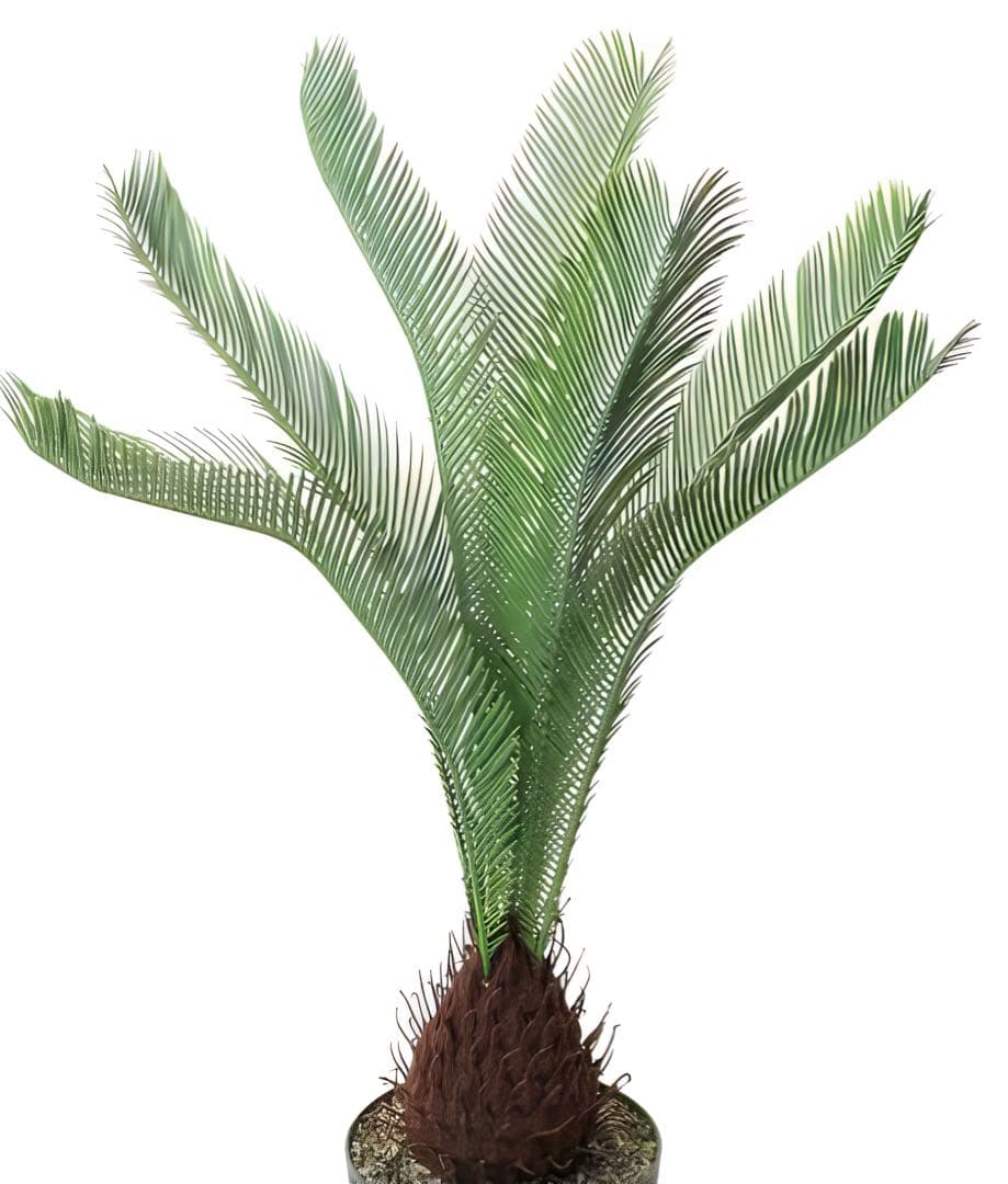 光触媒　人工観葉植物　ウォールグリーン　フェイクグリーン　ソテツ120