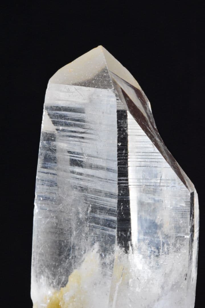 インドメルー産 ライトゴールデンヒーラー01