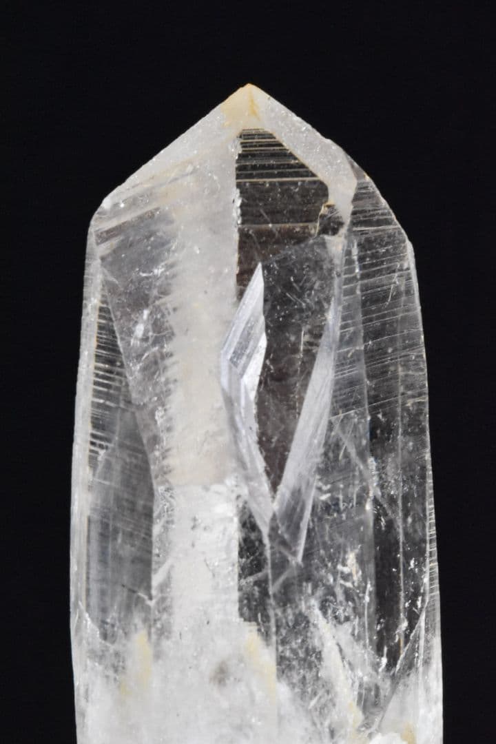 インドメルー産 ライトゴールデンヒーラー01