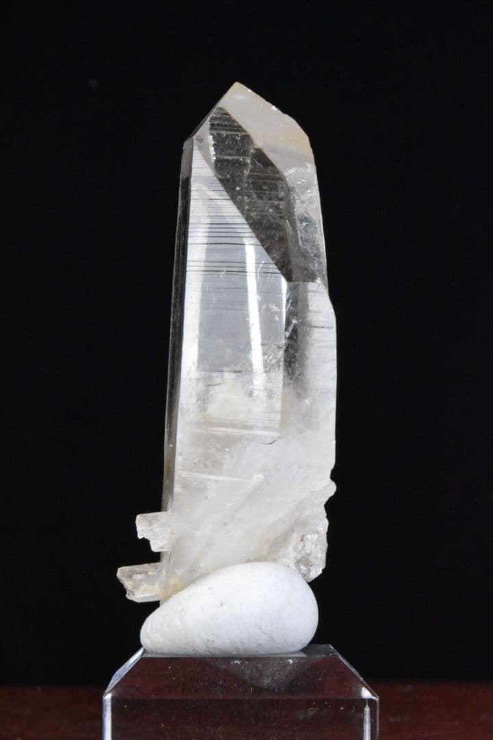 インドメルー産 ライトゴールデンヒーラー01