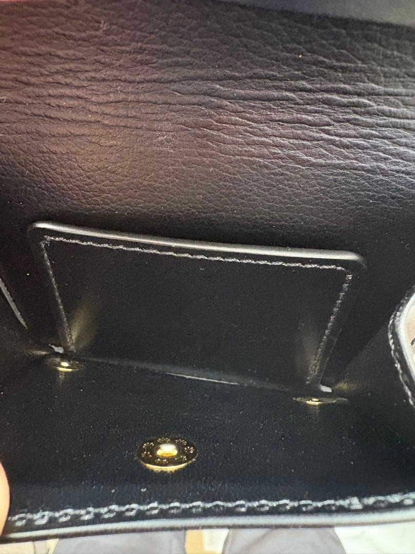 極美品 【超希少】ワイルドスワンズ　ロイドヴァッシュ　kf-003　kf003