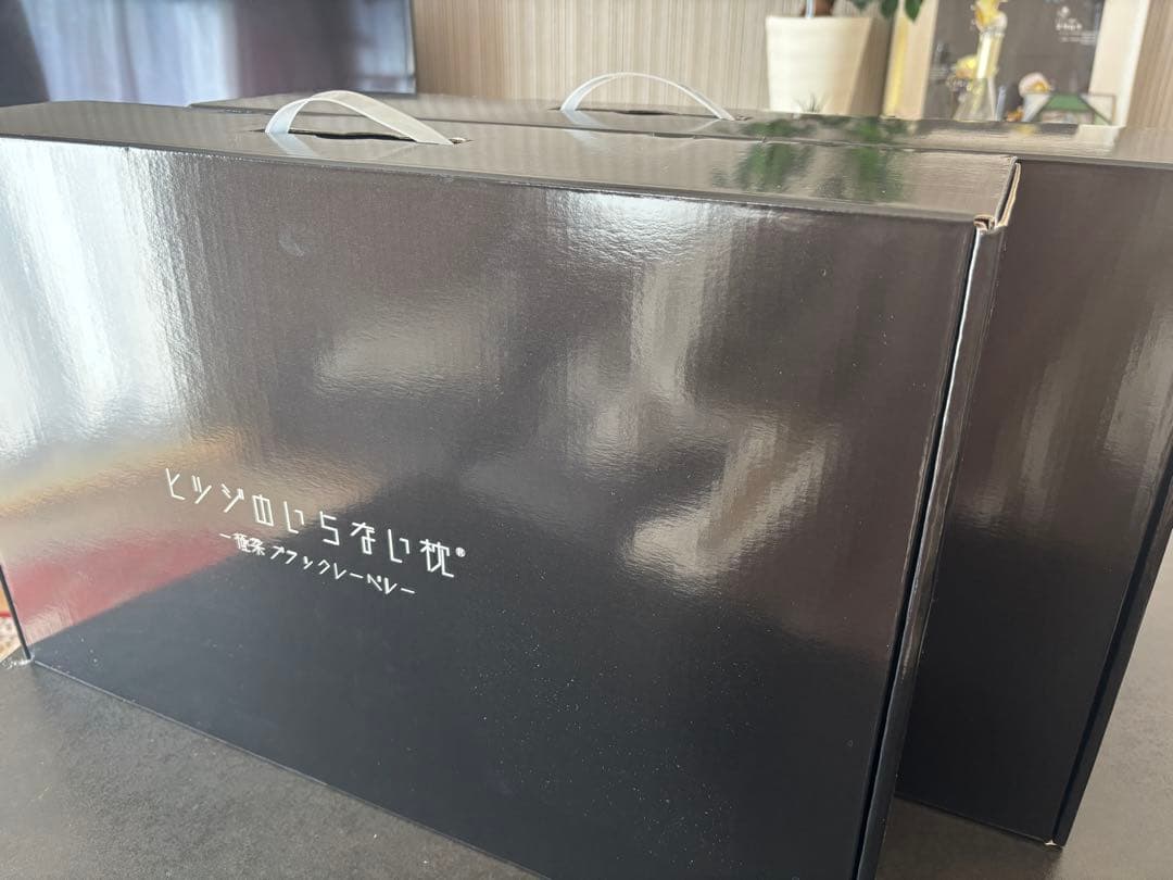 ヒツジのいらない枕 極柔【ブラックレーベル】　コストコ　2個セット　美品