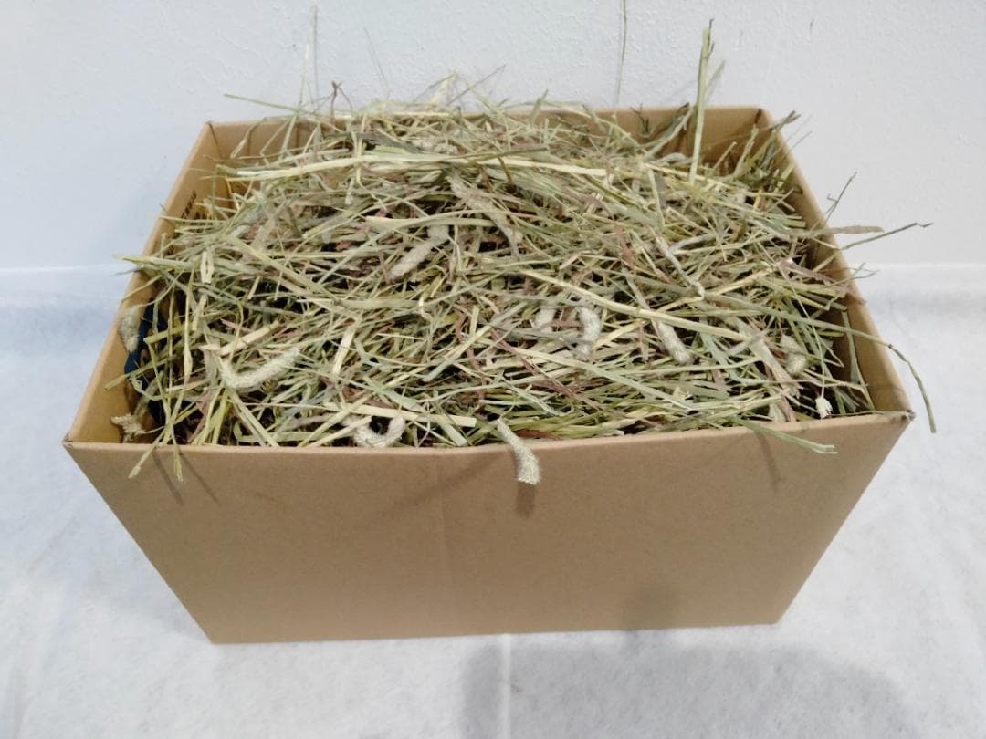 【6/15まで】 カナダ産 チモシー 50kg スーパープレミアム １番刈り