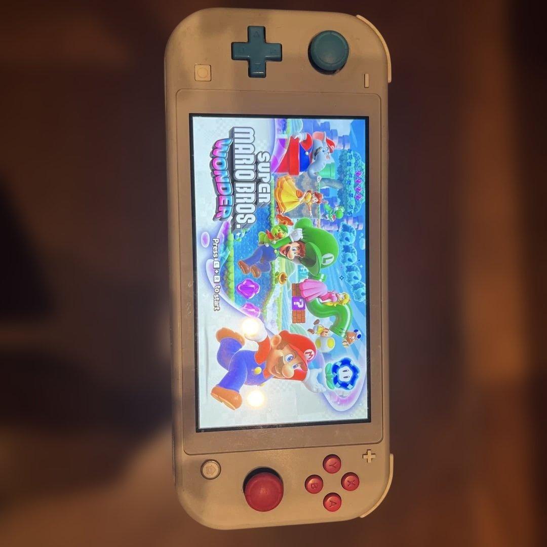 Switchライト本体　充電器.SD付　ジャンク品