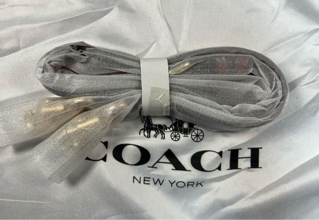 COACH X PEANUTS 新作 ウッドストック デンプシー トートバッグ