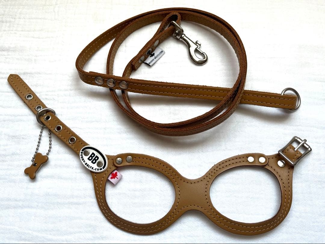 バディベルト　リード　セット　サイズ2.5 BB