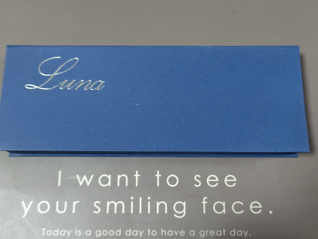 プロ用LUNAシザー YZ-60-20（正刃）新品未使用品