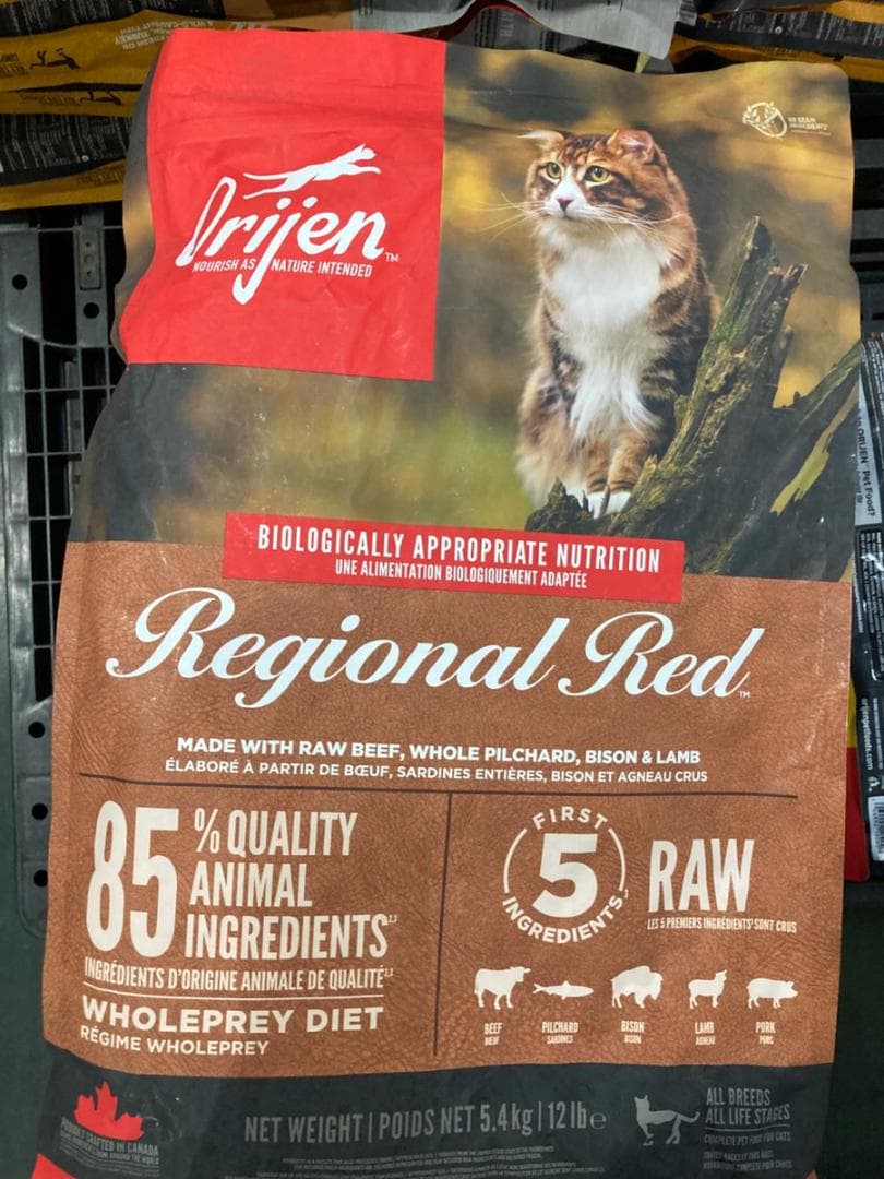 正規品 カナダ産 オリジン レジオナルレッドキャット 5.4kg x5個