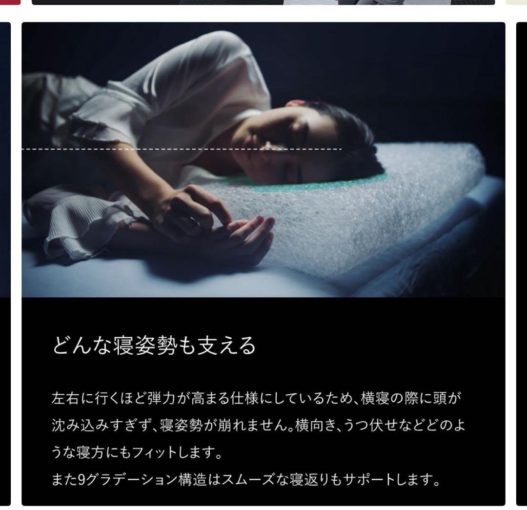 BRIAN SLEEP ピロー【枕カバー付き】