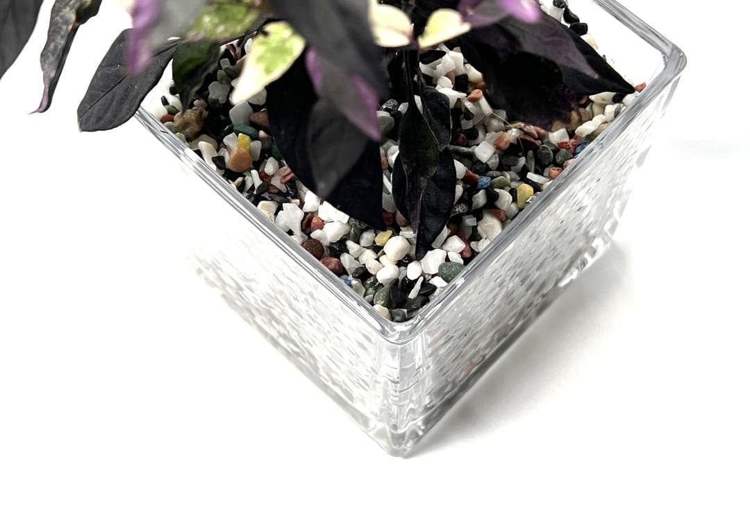 ガラス　花瓶　キューブ　16個　フラワーベース