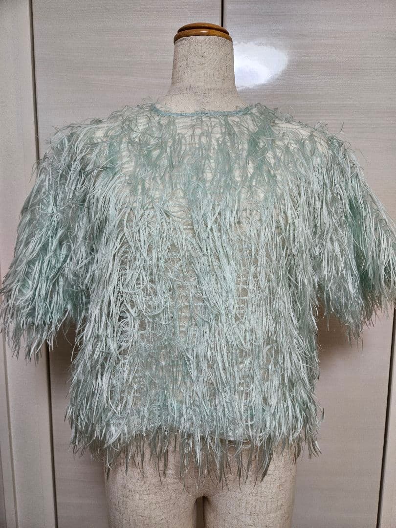 美品 roughlow airy fringe sheer tops mint