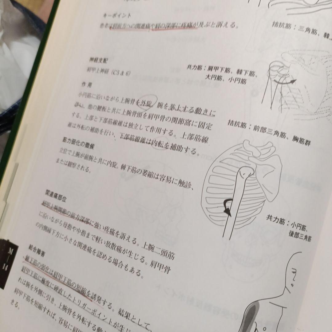 アプライドキネシオロジー　　 フローチャートマニュアル 下巻