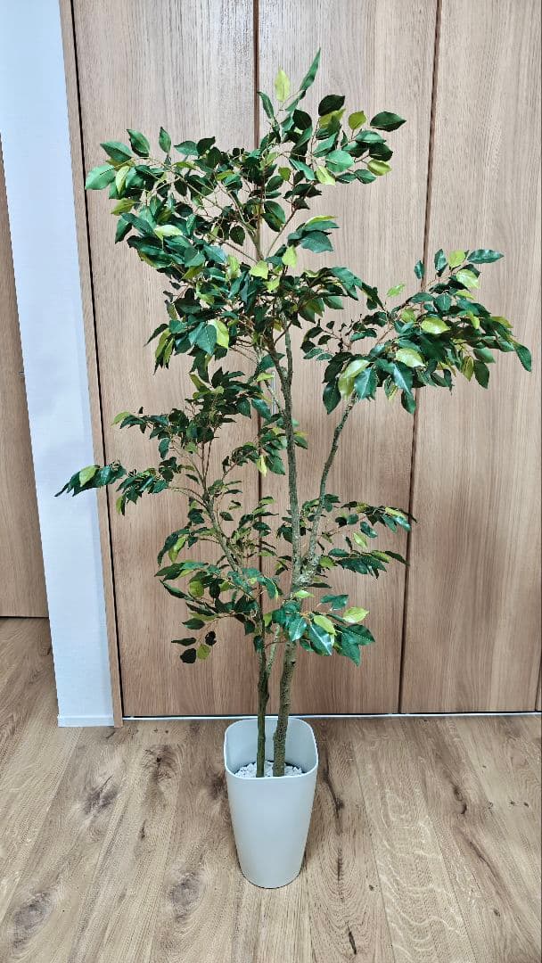 150cm　フェイクグリーン　ベンジャミン(フィカス)　光触媒　観葉植物