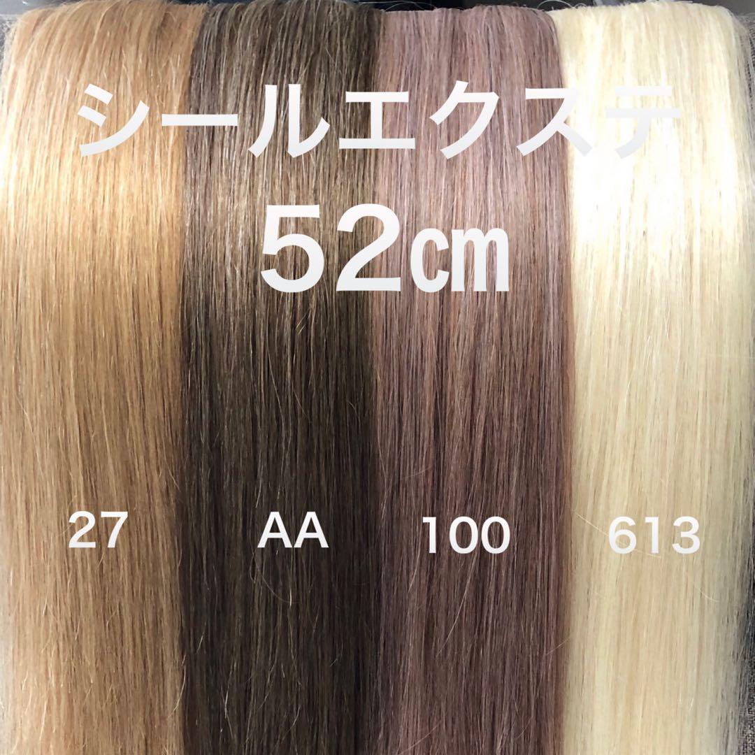 シールエクステ 52 カラーエクステ ロングストレート