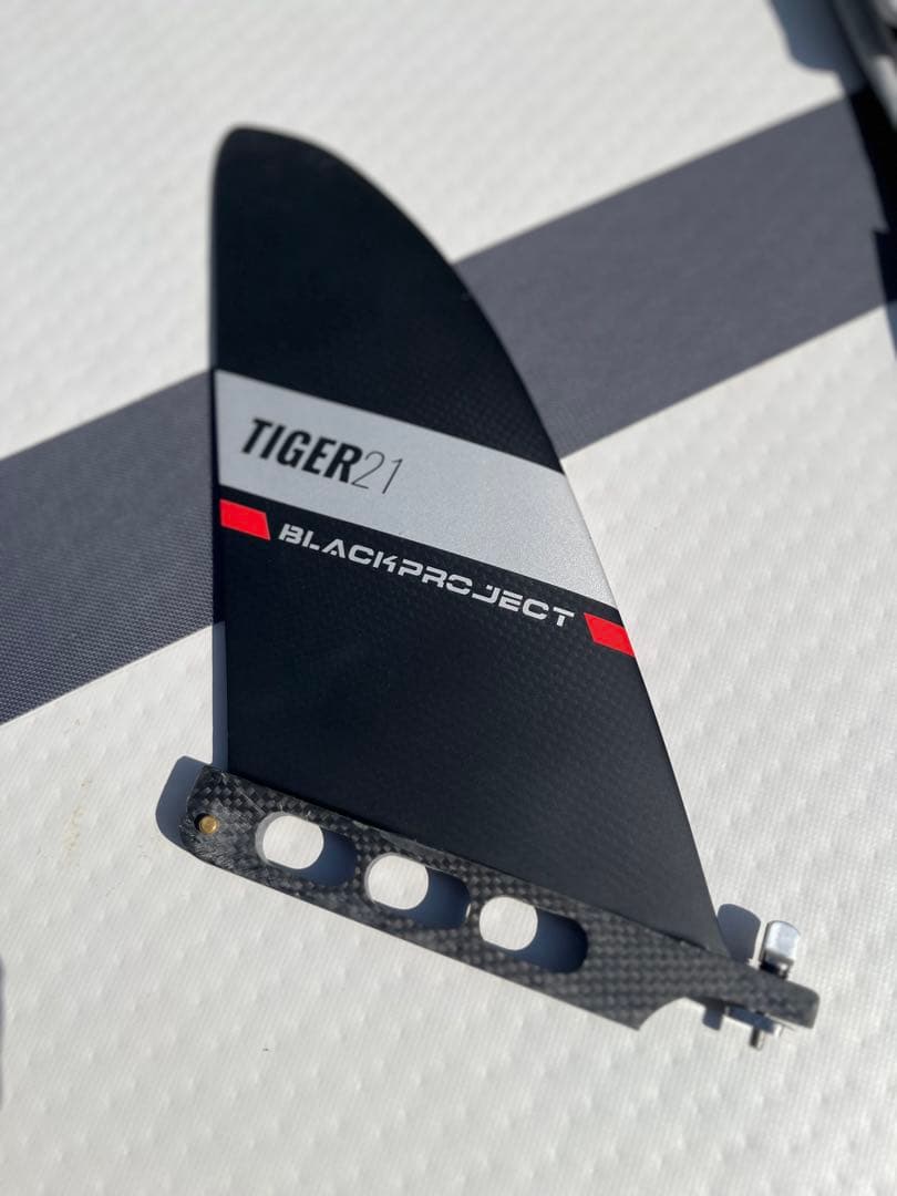 BLACKPROJECT TIGER21 フィン（正規店購入)