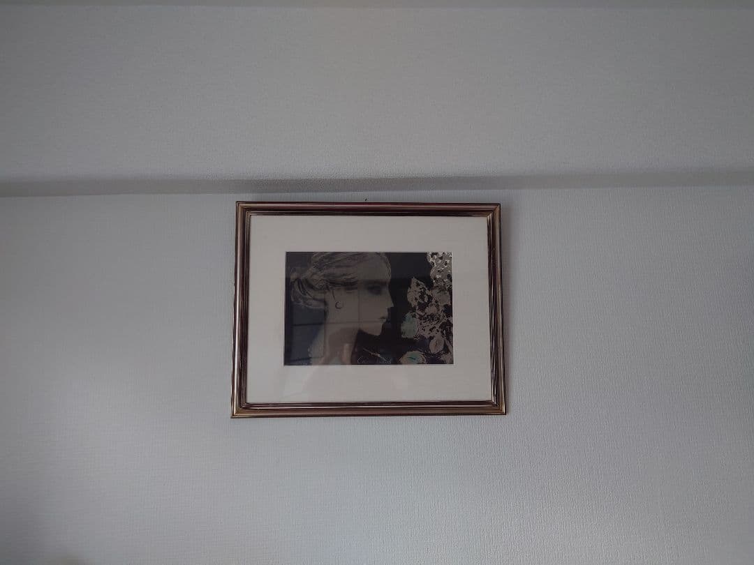 (お安く)カシニョールリトグラフ