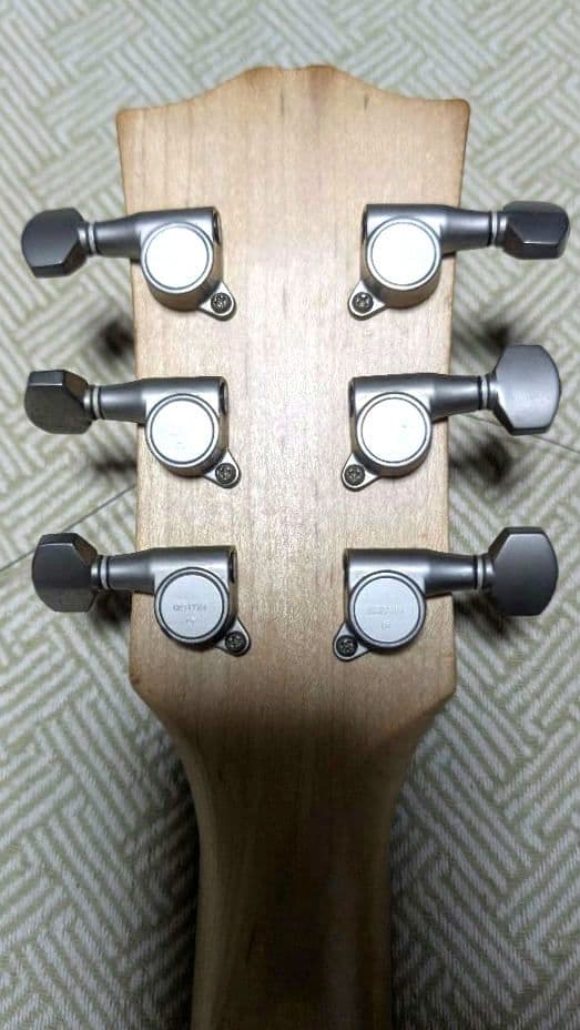 Burny/バーニー LG-480 レスポールタイプ エレキギター（ギター弦付）