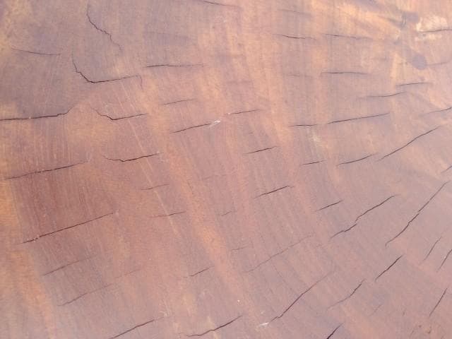 花台　大型　ケヤキ　欅　100x60x6cm　16kg