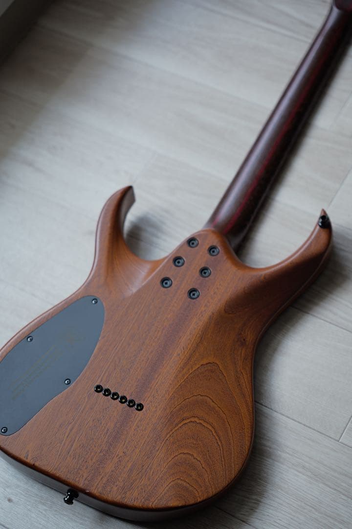 ギター MAYONES Duvell6 Elite