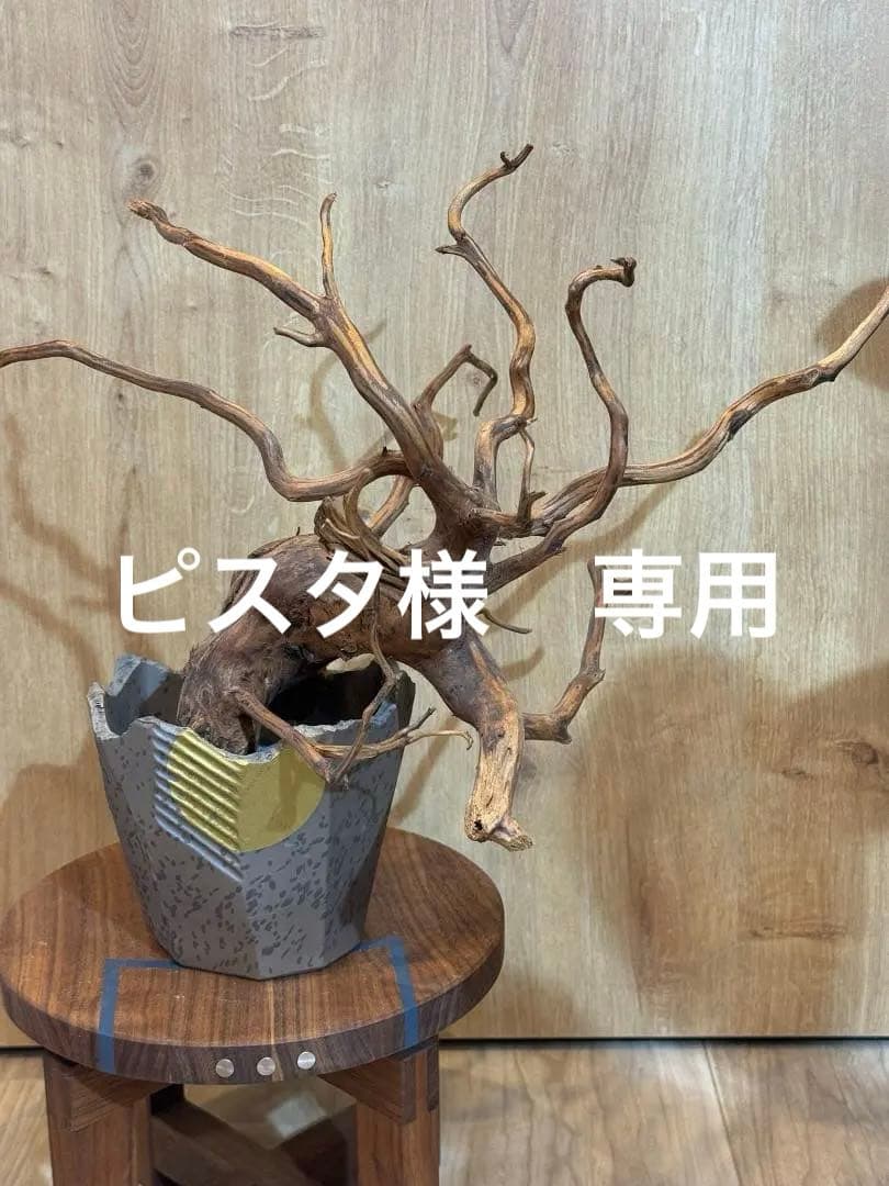 N/OH 澪標 山ノ月 グレー Sサイズ