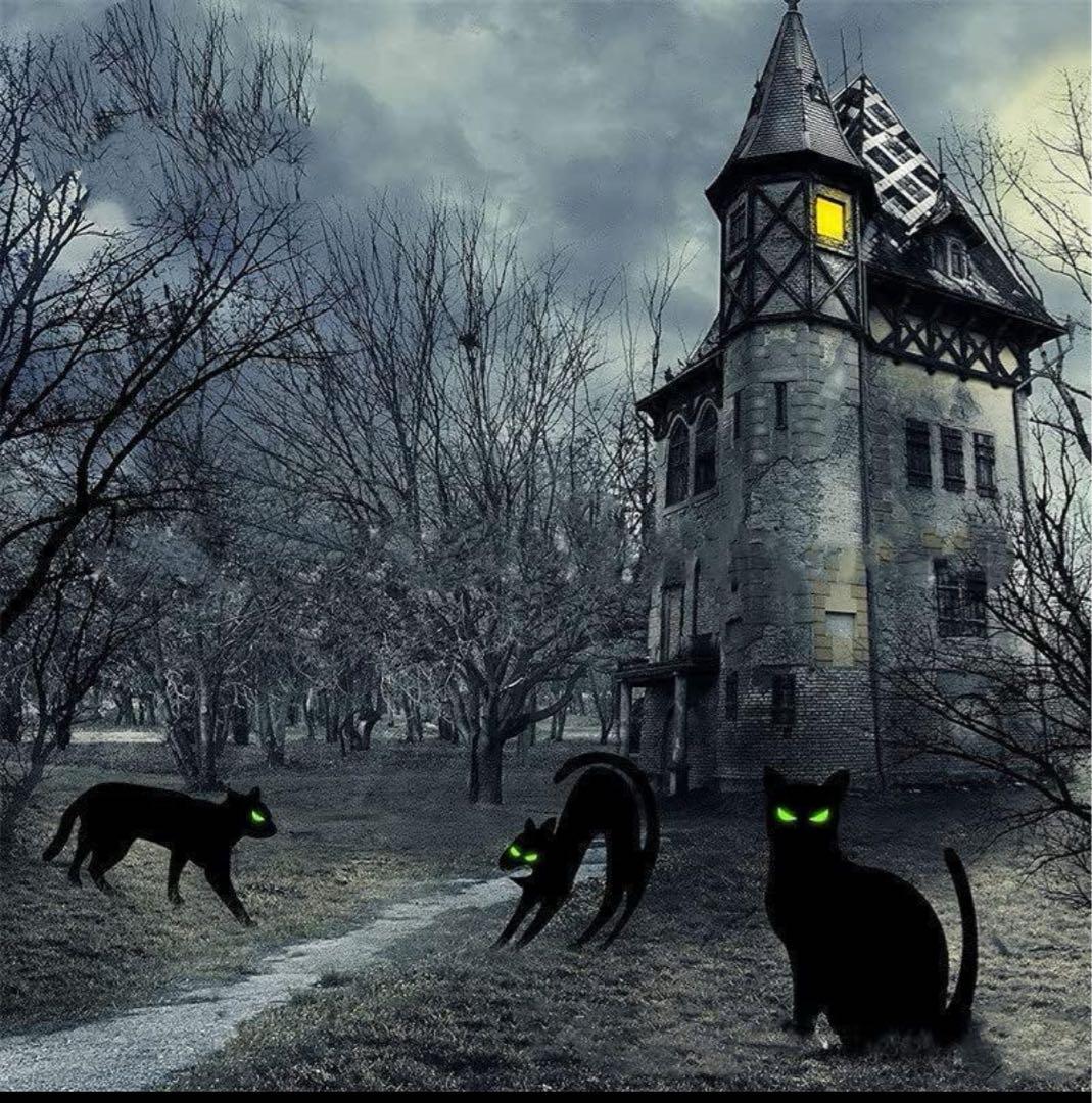 黒猫 ハロウィン デコレーション アウトドア ハロウィン 黒猫 庭 サイン