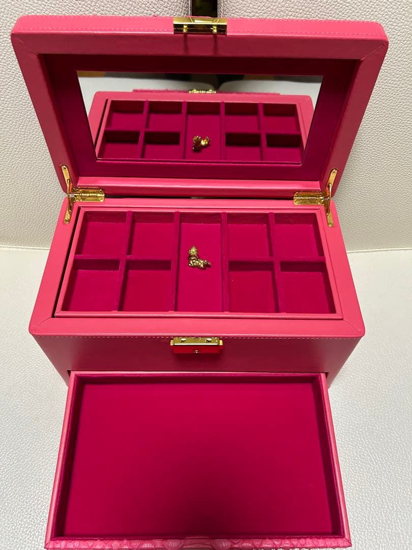 プラピカネ 夢のマネーＢＯＸ ＜巨万の富と幸運の神様、降臨！＞