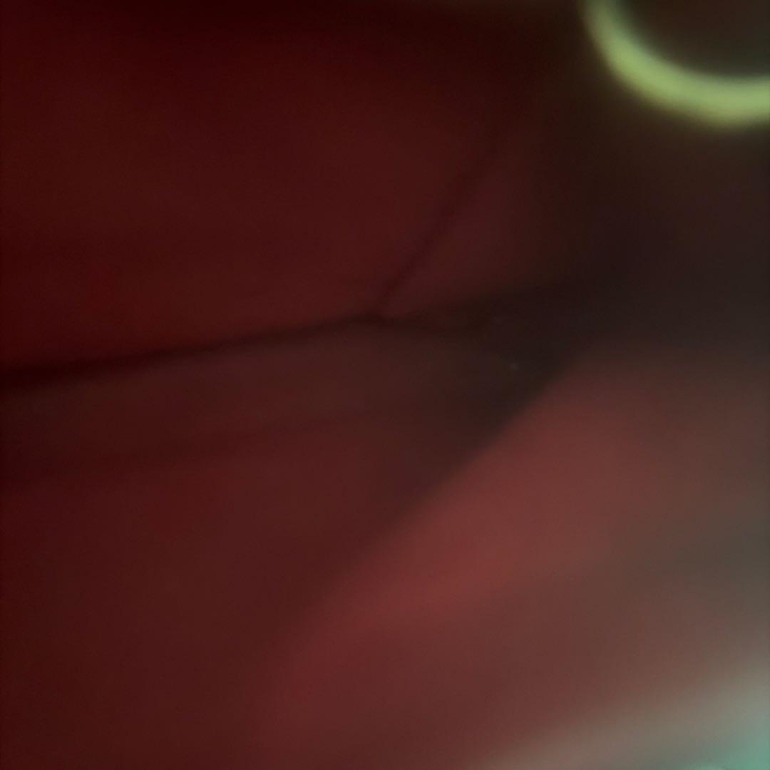 Louis Vuitton ダミエ・エベヌ トートバッグ