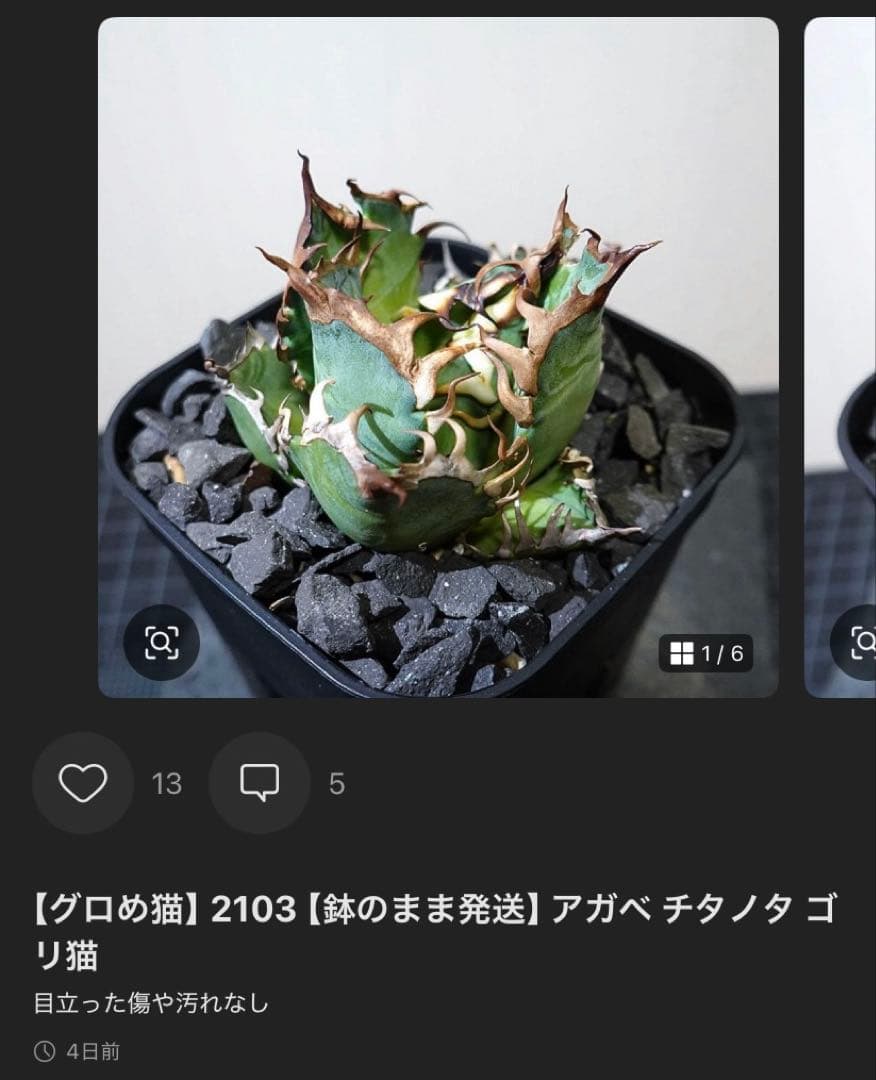 どんどん2128 2103 1214 2129 0000ハデス追加