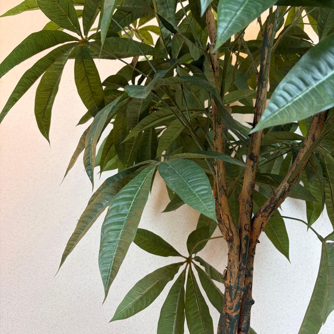 送料無料 大型フェイクグリーン 人工観葉植物 光触媒 170cm パキラ