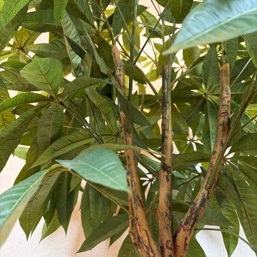 送料無料 大型フェイクグリーン 人工観葉植物 光触媒 170cm パキラ