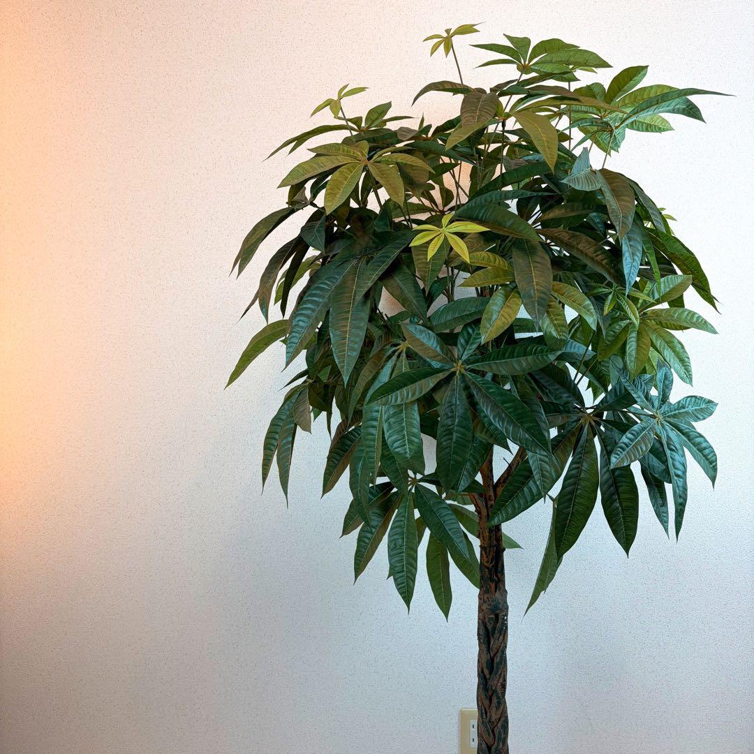 送料無料 大型フェイクグリーン 人工観葉植物 光触媒 170cm パキラ