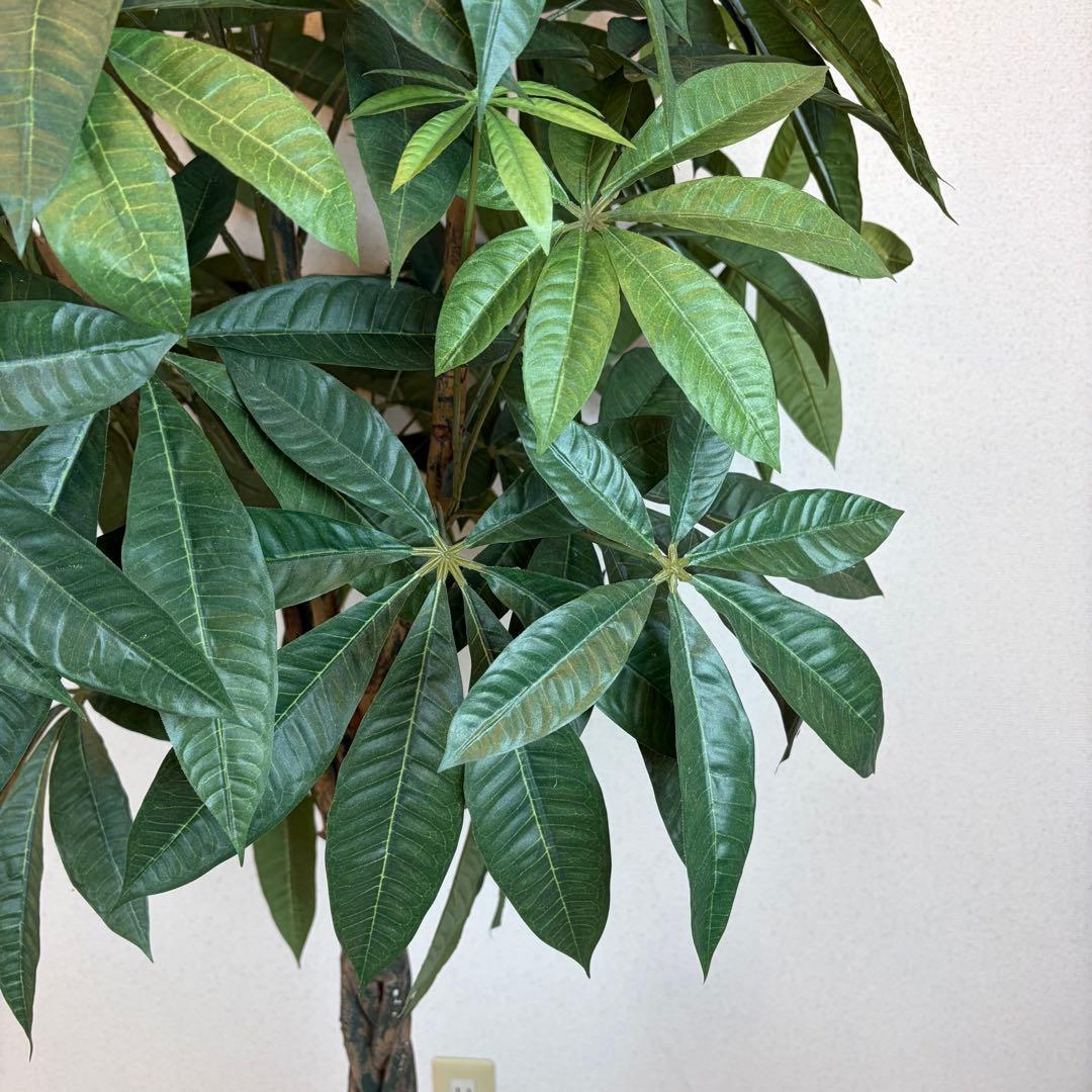 送料無料 大型フェイクグリーン 人工観葉植物 光触媒 170cm パキラ