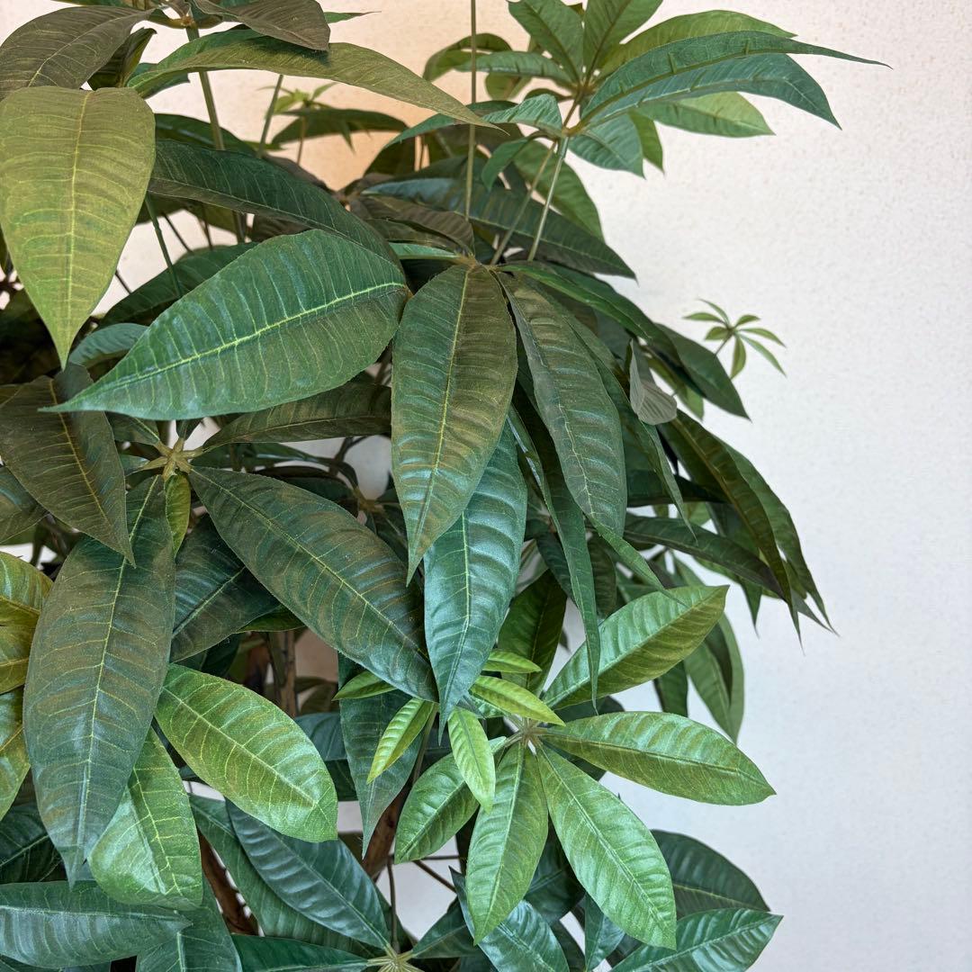送料無料 大型フェイクグリーン 人工観葉植物 光触媒 170cm パキラ