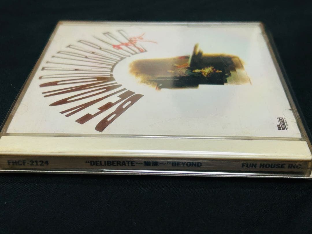 BEYOND ビヨンド DELIBERATE 貴重な日本盤CD