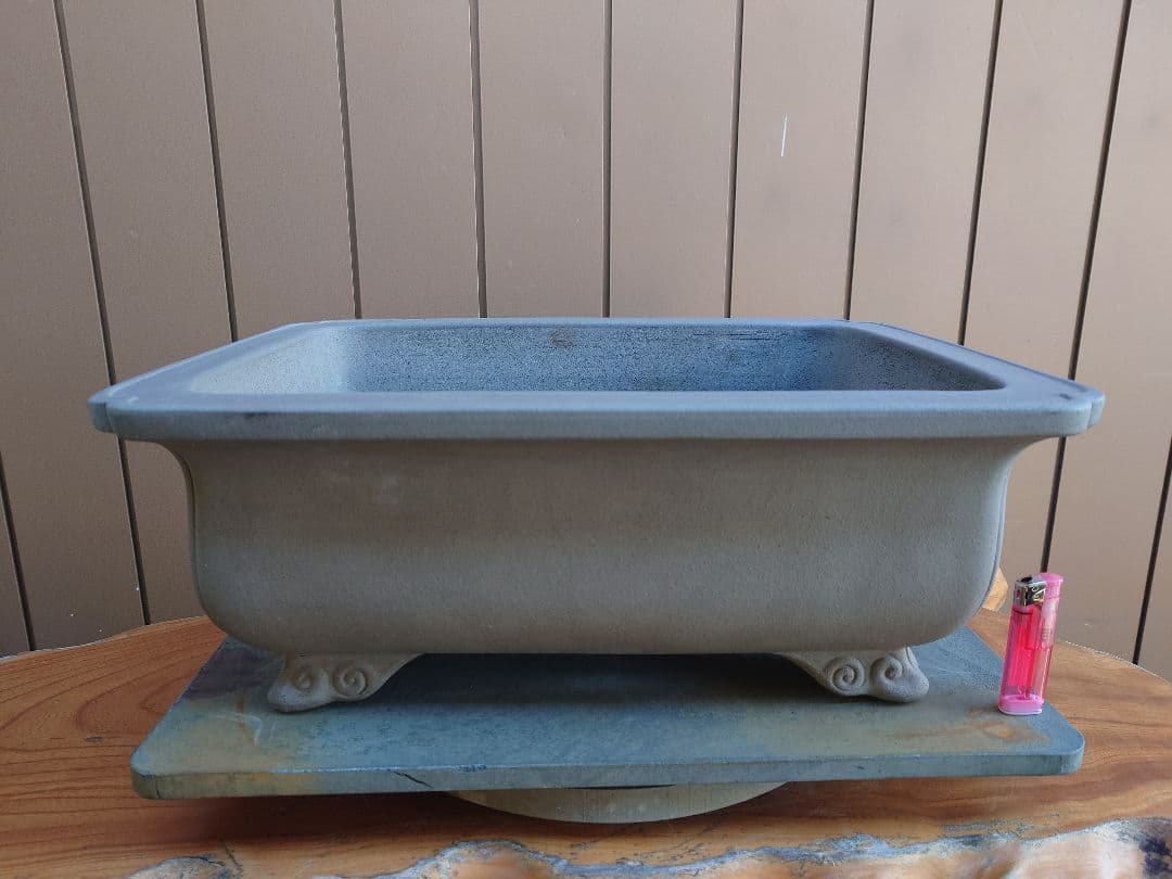 盆栽　鉢　佳山　幅48.5cm