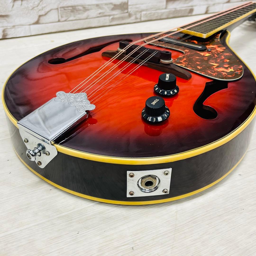 Samick サミック PU搭載 エレキフラットマンドリン